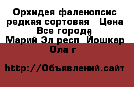 Орхидея фаленопсис редкая сортовая › Цена ­ 800 - Все города  »    . Марий Эл респ.,Йошкар-Ола г.